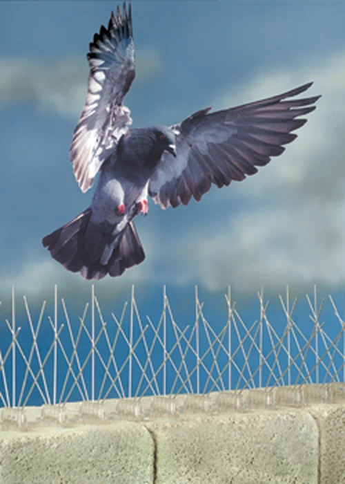Púas de plástico anti-pájaros