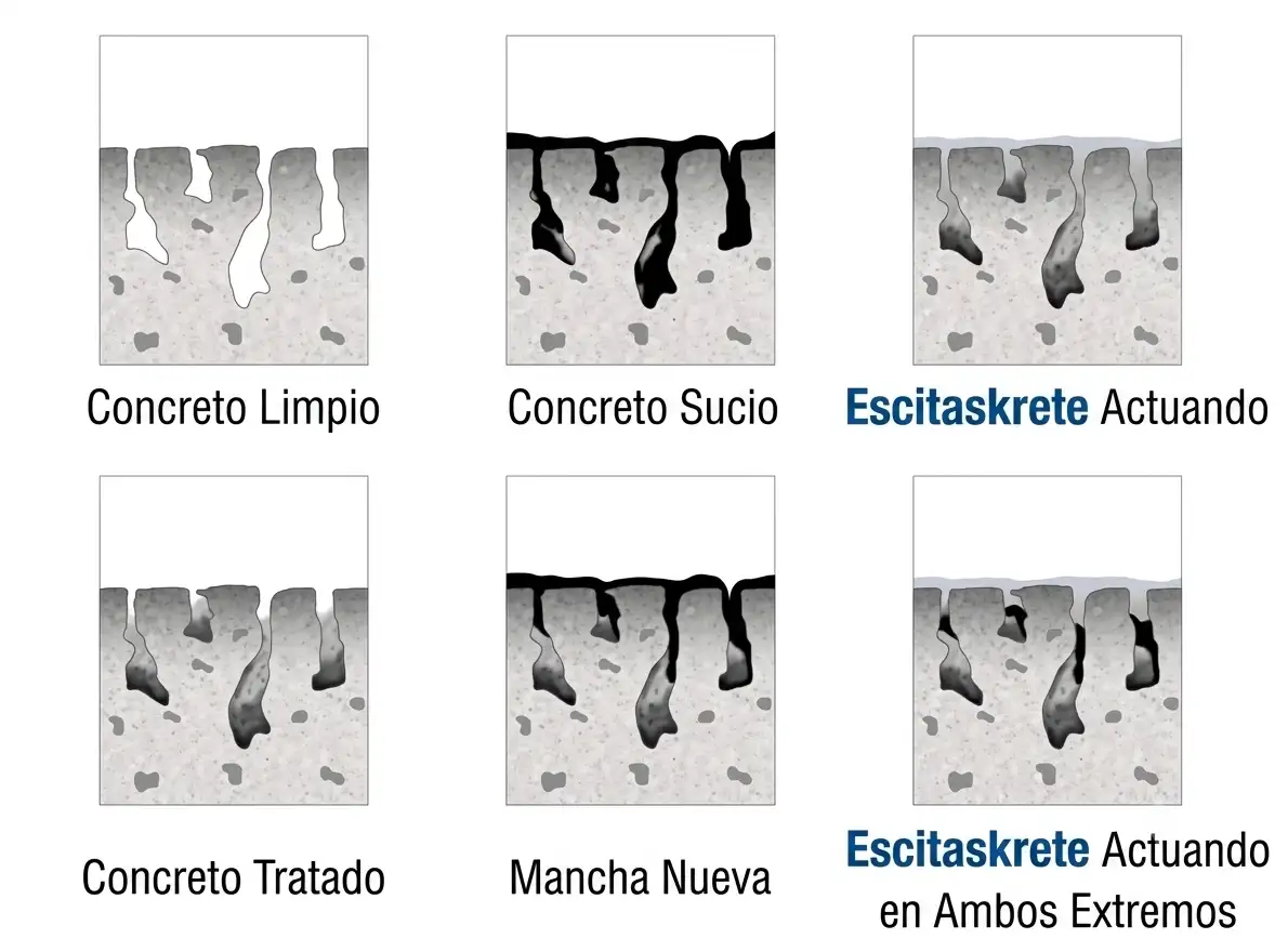 Diagrama de cómo EscitasKrete actúa dentro de los poros del concreto para eliminar la mancha